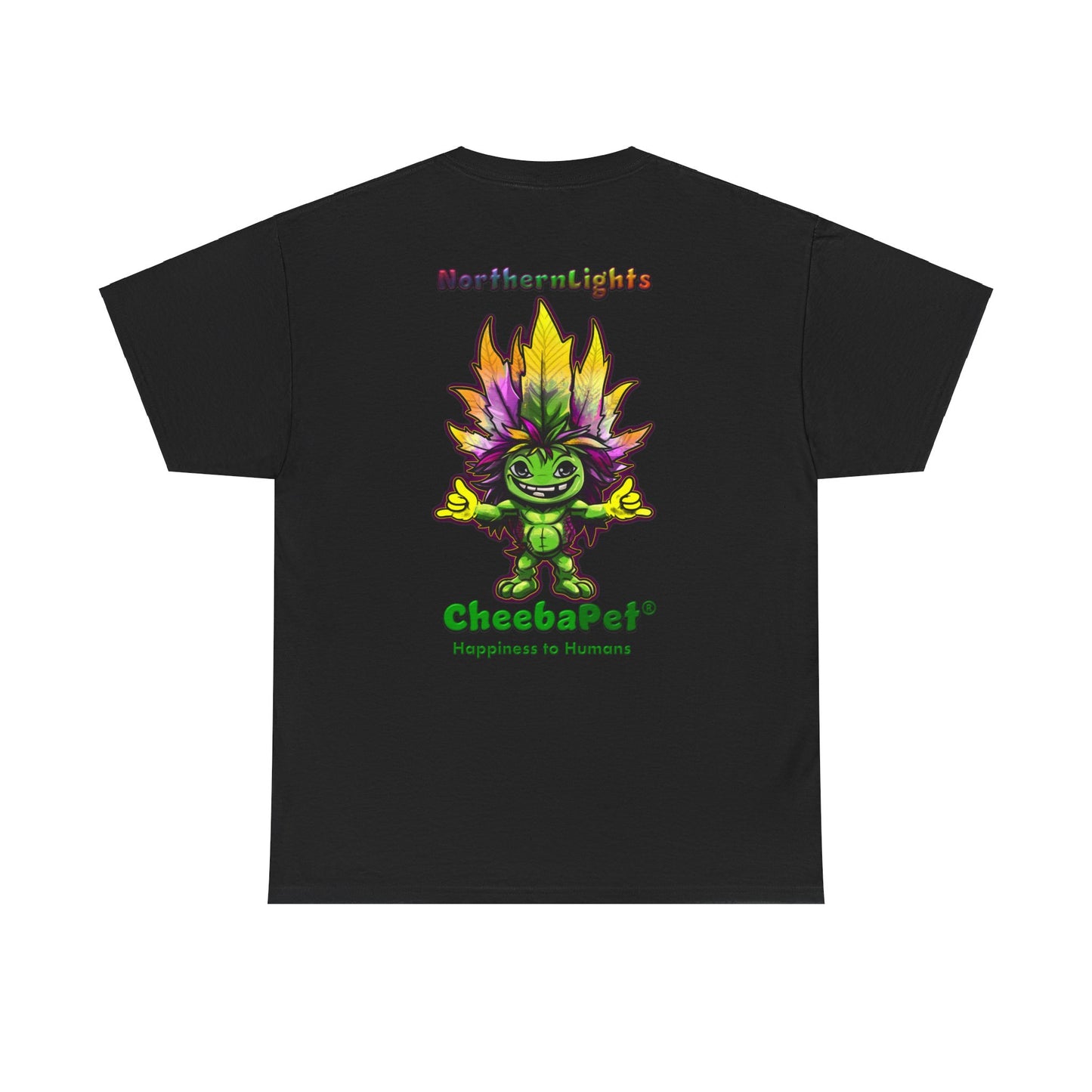 Express T NorthernLights
