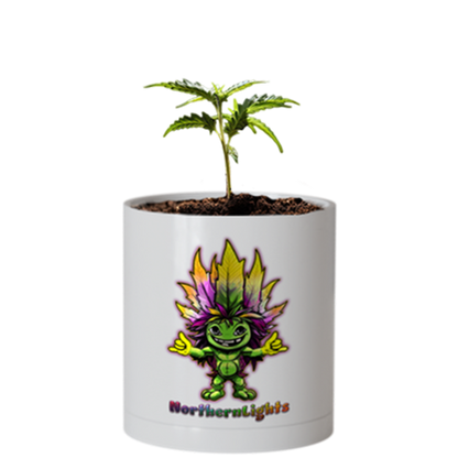 CheebaPet Planter Kit - Alpha Collection - NorthernLights:  30% Off This Week Only Mar 17 - 24, use Discount Code "Weekly30"