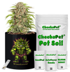 CheebaPet Planter Kit - Alpha Collection - BruceBanner