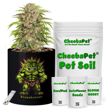CheebaPet Planter Kit - Alpha Collection - BruceBanner