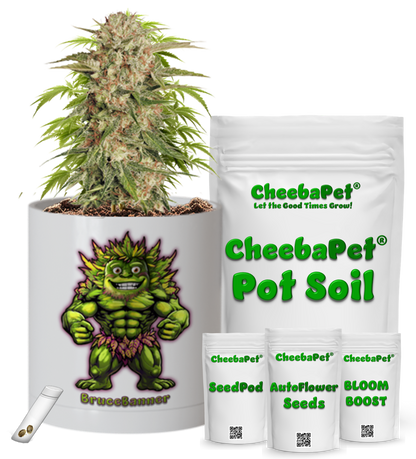 CheebaPet Planter Kit - Alpha Collection - BruceBanner