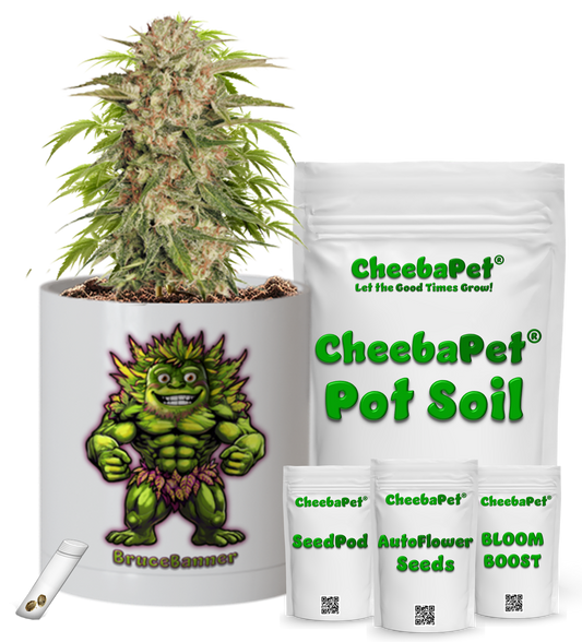 CheebaPet Planter Kit - Alpha Collection - BruceBanner