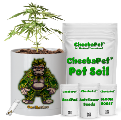 CheebaPet Planter Kit - Alpha Collection - GorillaGlue