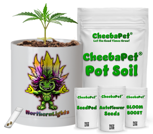 CheebaPet Planter Kit - Alpha Collection - NorthernLights
