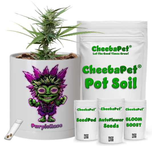 CheebaPet Planter Kit - Alpha Collection - PurpleHaze