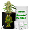 CheebaPet Planter Kit - Alpha Collection - SourDiesel