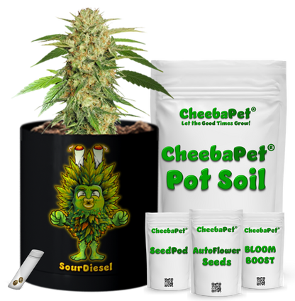 CheebaPet Planter Kit - Alpha Collection - SourDiesel