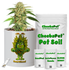 CheebaPet Planter Kit - Alpha Collection - SourDiesel