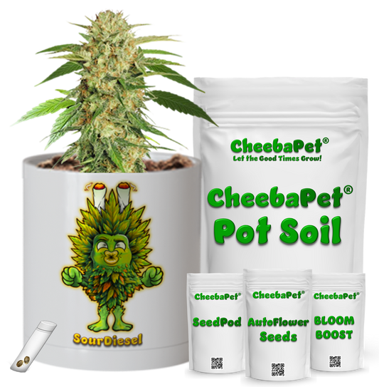CheebaPet Planter Kit - Alpha Collection - SourDiesel