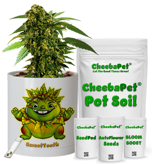 CheebaPet Planter Kit - Alpha Collection - SweetTooth