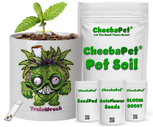 CheebaPet Planter Kit - Alpha Collection - TrainWreck