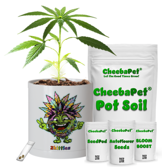 CheebaPet Planter Kit - Alpha Collection - Zkittlez