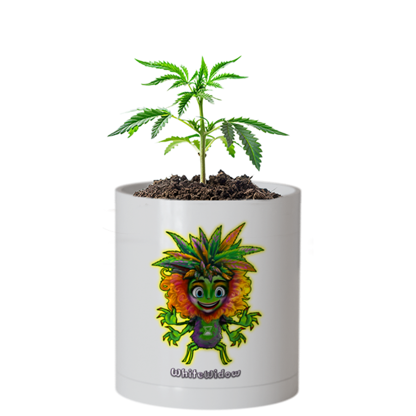 CheebaPet Planter Kit - Alpha Collection - WhiteWidow:  30% Off thru May 4 use code "Weekly30"